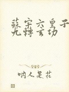 苏宇六皇子签到九转玄功