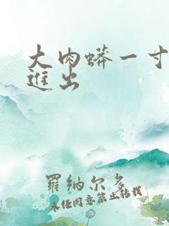 大肉蟒一寸一寸进出