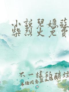 小说儿媳苏玥干柴烈火免费阅读