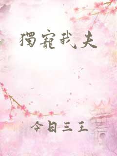独宠我夫