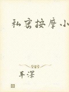 私密按摩小说