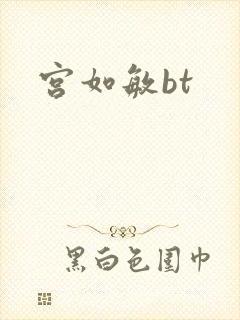 宫如敏bt