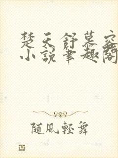 楚天舒慕容江月小说笔趣阁