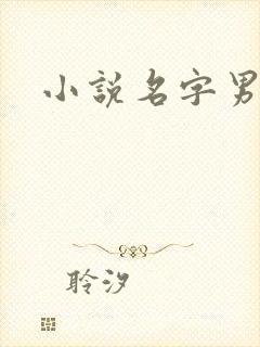 小说名字男生