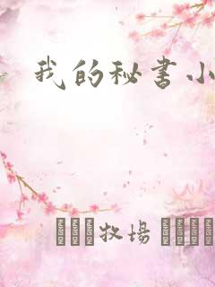 我的秘书小姐