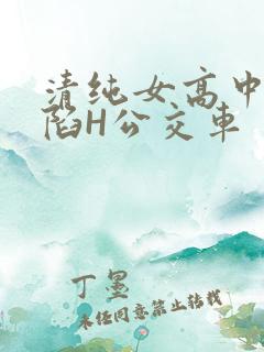 清纯女高中生沦陷H公交车