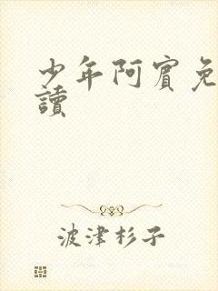 少年阿宾免费阅读