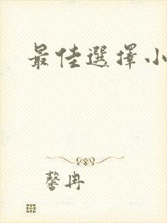 最佳选择小说