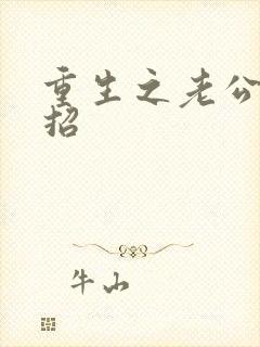 重生之老公请接招