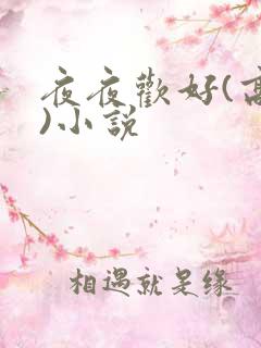 夜夜欢好(高h)小说