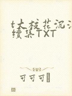 t大校花沉浮录续集TXT