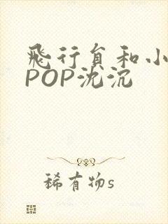 飞行员和小空乘POP沈沉