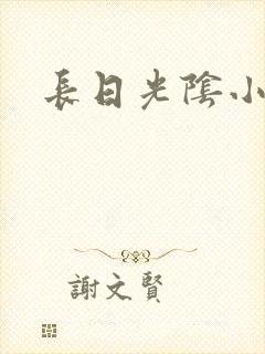 长日光阴小说