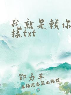 我就是赖你 怎样txt