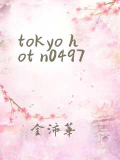 tokyo hot n0497