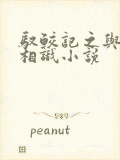 驭鲛记之与君初相识小说