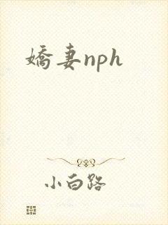 娇妻nph