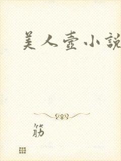 美人壶小说