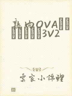 熟肉OVAちゃんはしたい3V2