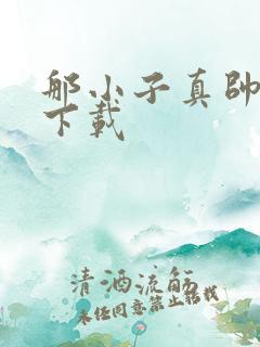 那小子真帅小说下载