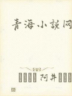 青海小说网