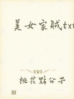 美女家贼txt