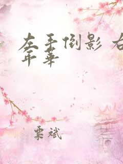 左手倒影 右手年华