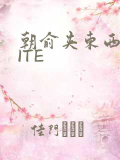 朝俞夹东西WRITE