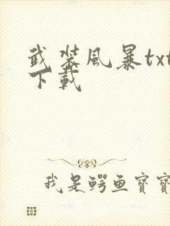 武装风暴txt下载