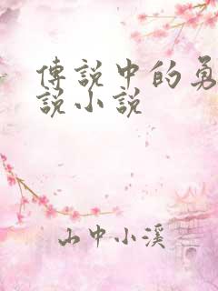 传说中的勇者传说小说