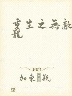 重生之无敌项少龙