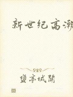 新世纪高潮战队