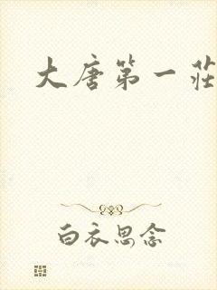 大唐第一庄