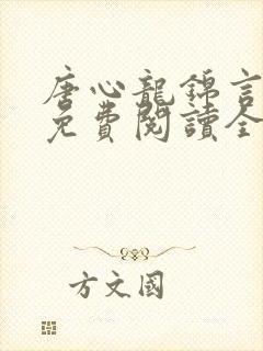 唐心龙锦言小说免费阅读全文