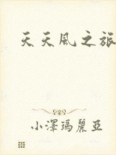 天天风之旅辅助