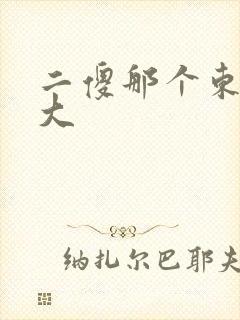 二傻那个东西真大