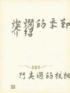 灿烂的季节剧情介绍