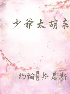 少爷太胡来