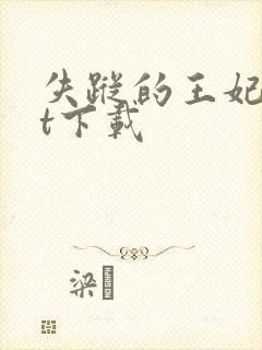 失踪的王妃txt下载