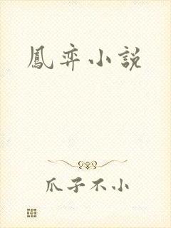 凤弈小说