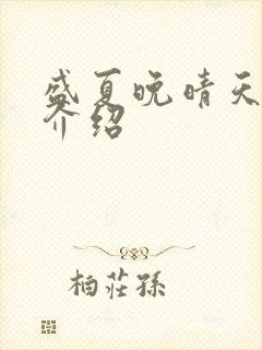 盛夏晚晴天剧情介绍