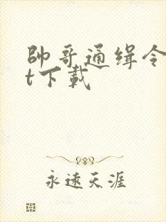 帅哥通缉令txt下载