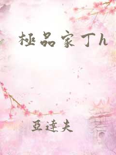极品家丁h