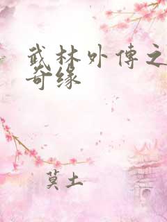 武林外传之同福奇缘