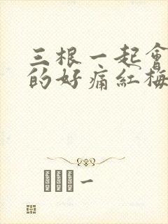 三根一起会坏掉的好痛红梅