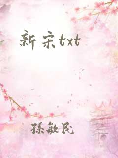 新宋txt