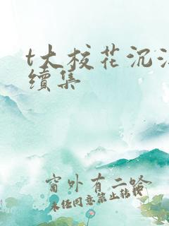 t大校花沉浮录续集