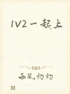 1V2一起上