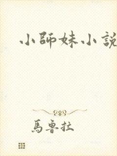 小师妹小说