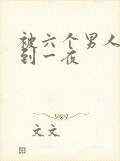 被六个男人躁J到一夜